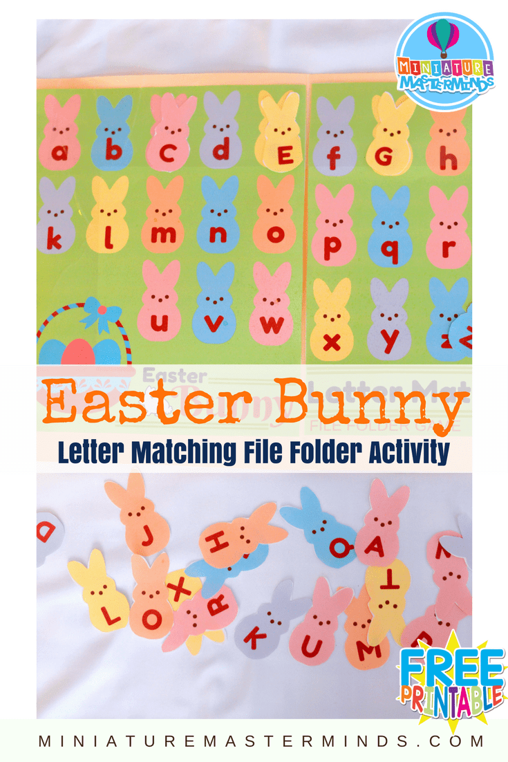 Easter Bunny Alphabet Upper And Lower Case Letter Matching File Folder