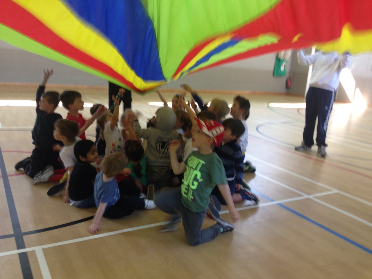 Gallery Mini Crickets