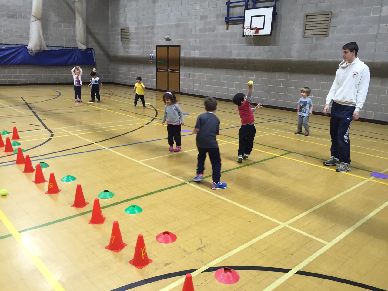 mini_crickets_training Mini Crickets