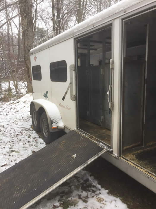 Miniature Horse Equipment for Sale