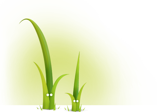 Introduction to Twig template engine: a start of a love | part 1 | Mini