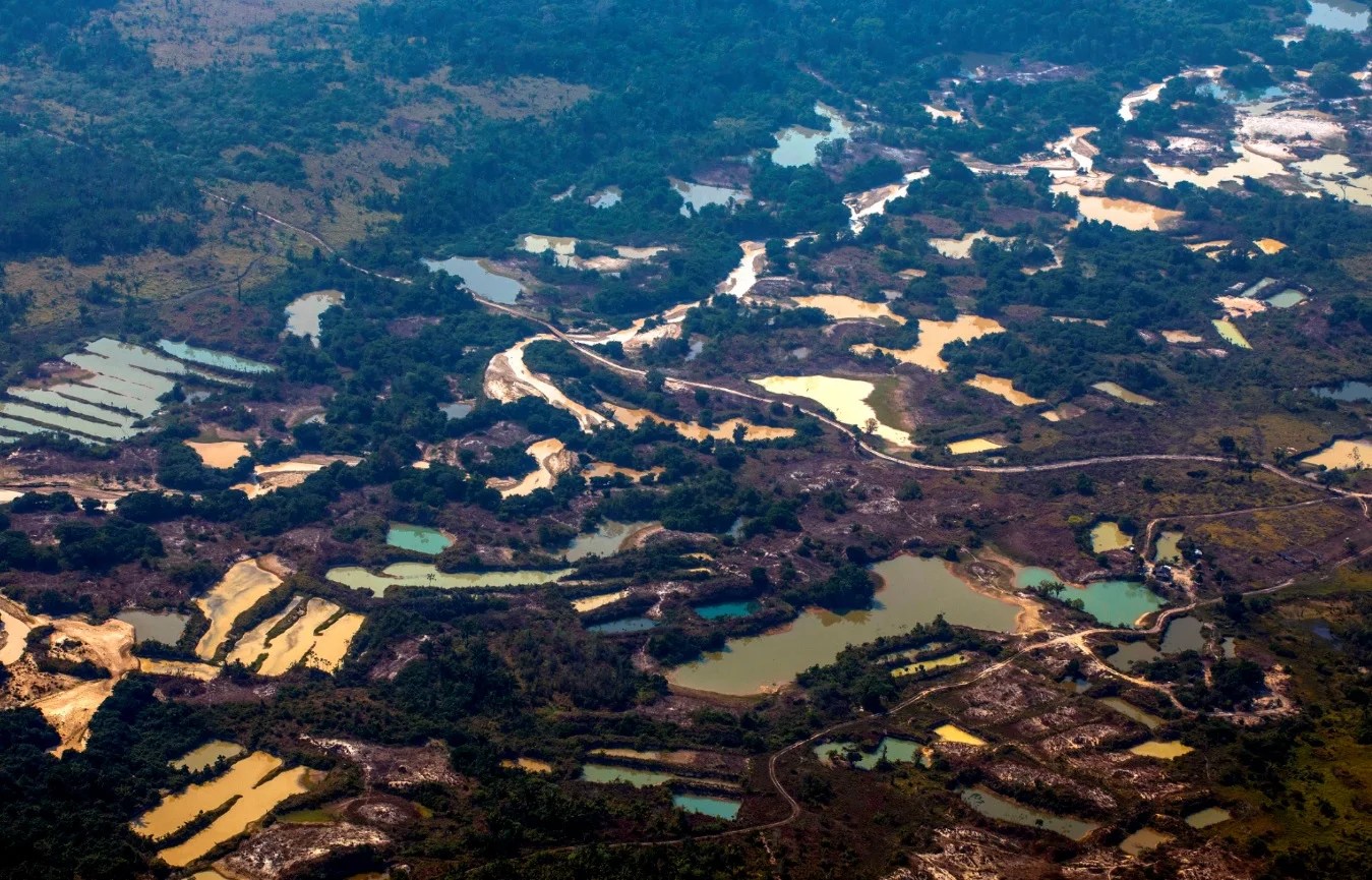 Mining and deforestation the unheeded industry challenge? Mining