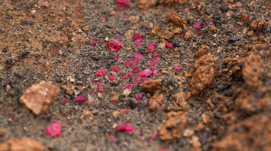 International trade data on emerald, ruby supply skewed report