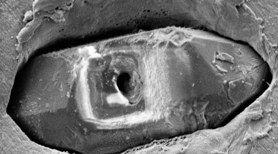 Rare zircon samples give new clues on earth’s ancient dwellers