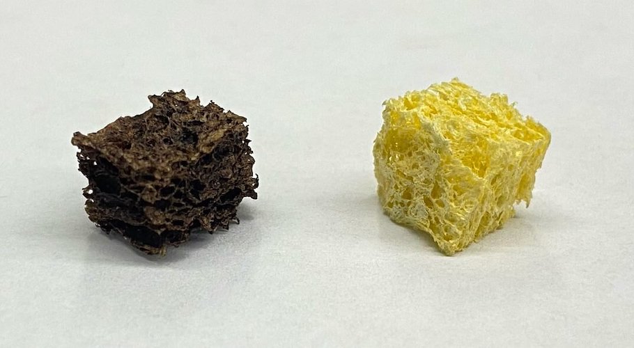 New sponge can remove toxic metals, recover critical minerals from