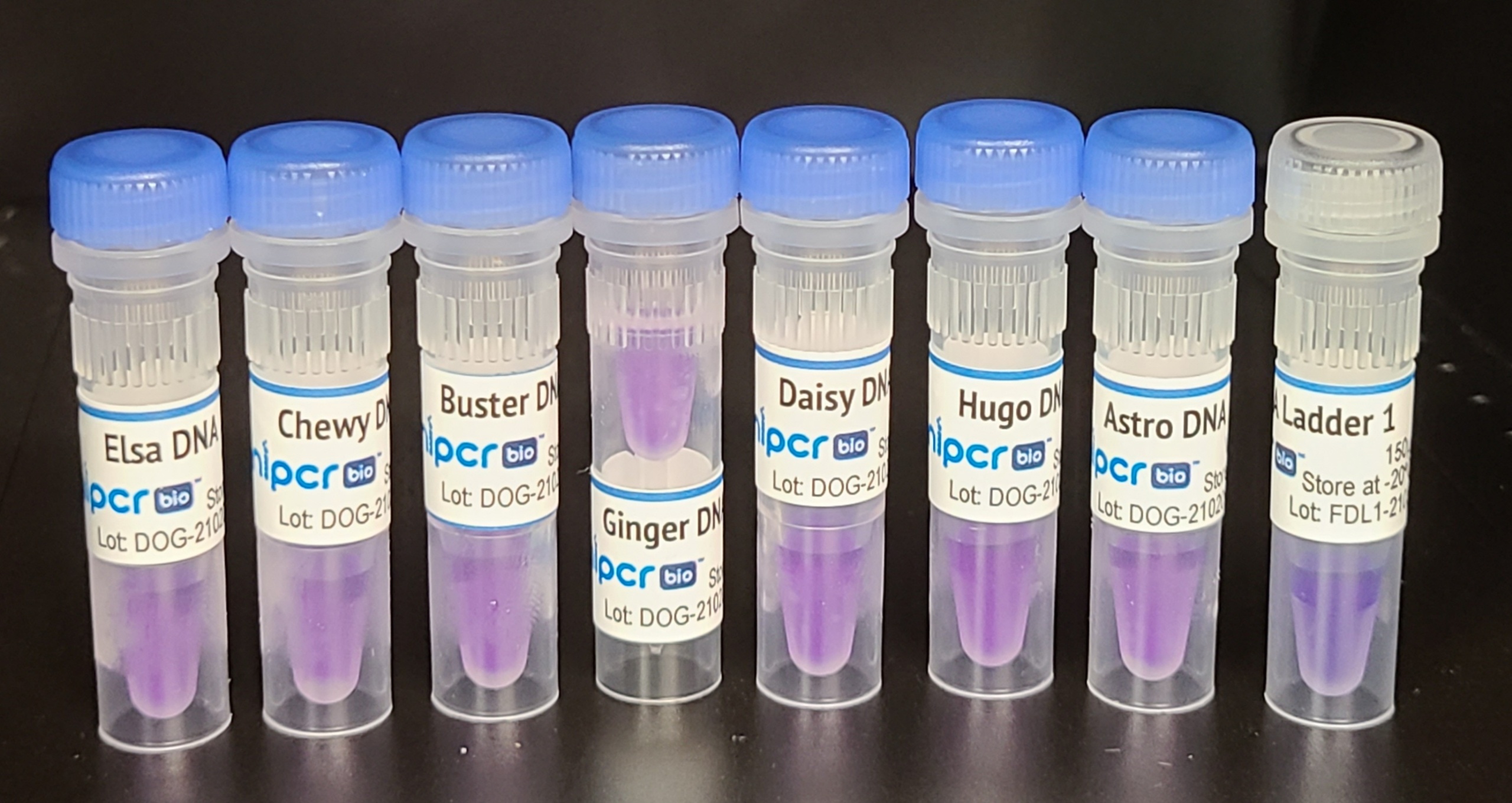 Cambio Excellence in Molecular Biology