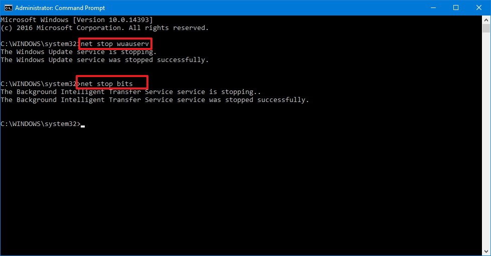 How to Rename or Delete Software Distribution Folder on Windows MiniTool