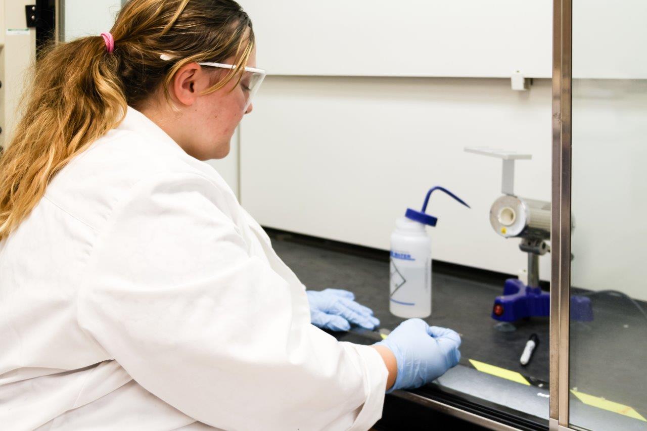 Phlebotomy Technician M State