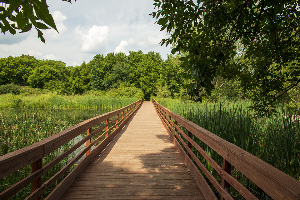 Minnesota Seasons Springbrook Nature Center