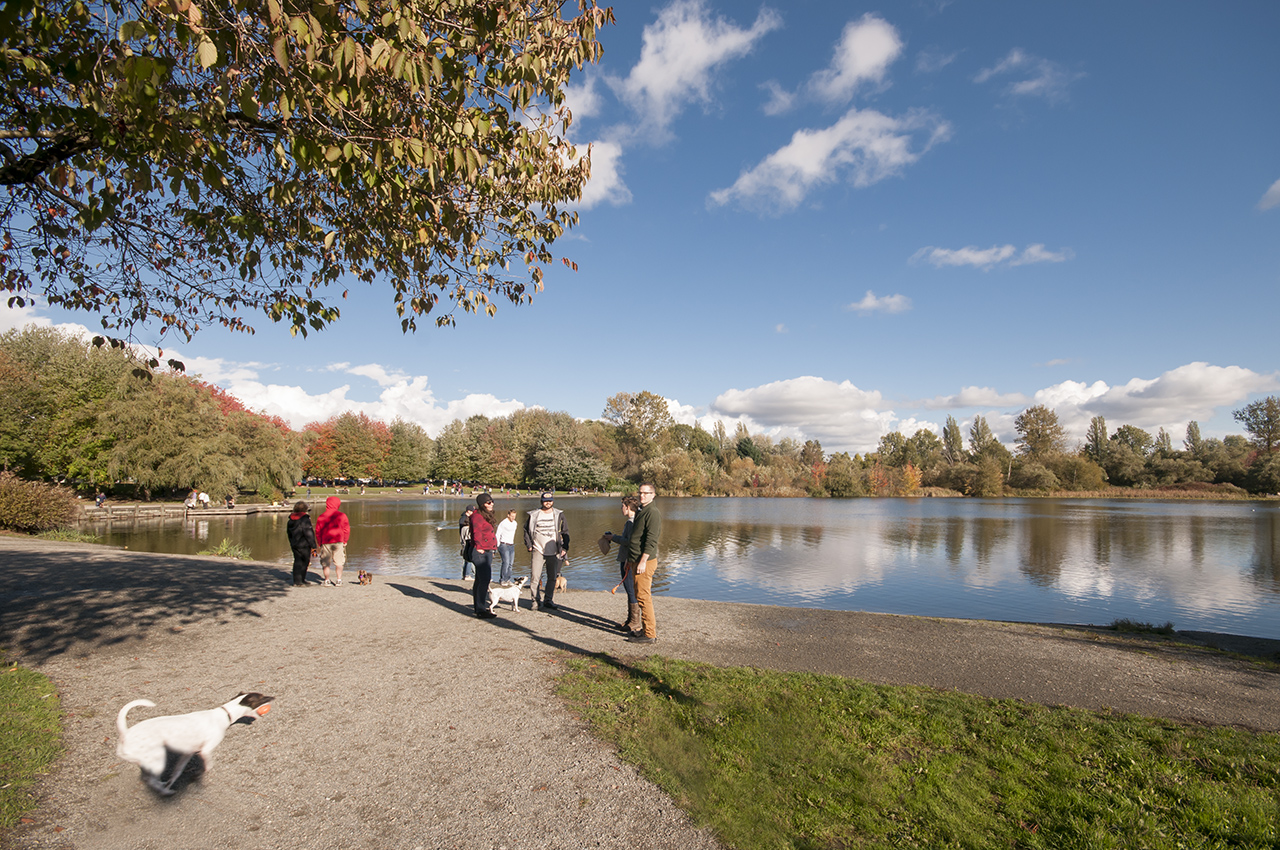 Collingwood Village & Renfrew Heights Real Estate Mint Home Team