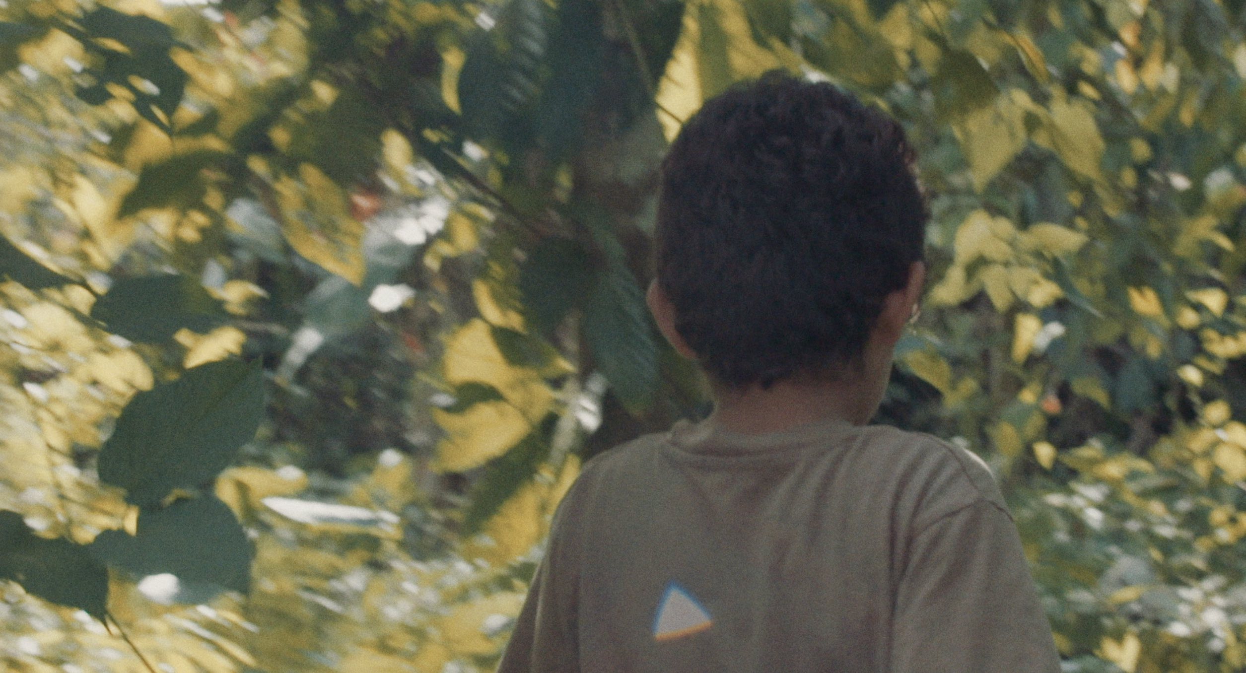 Las y Los MINUSCULES