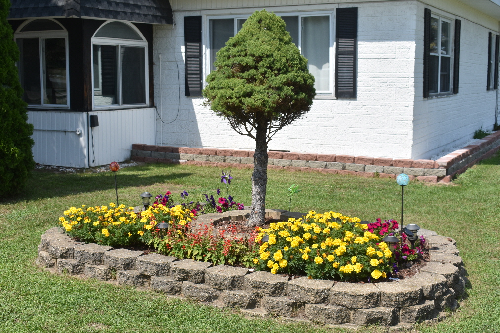 Mio Motel Mio, Michigan