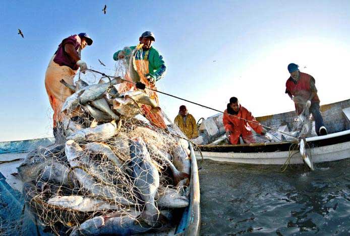 Buscan diputados establecer la pesca y la acuacultura como actividades