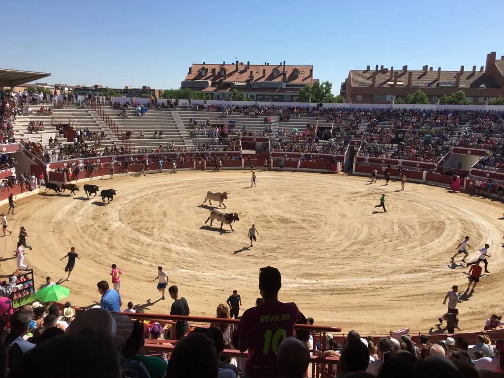 Encierros Torrejon De Ardoz 2022