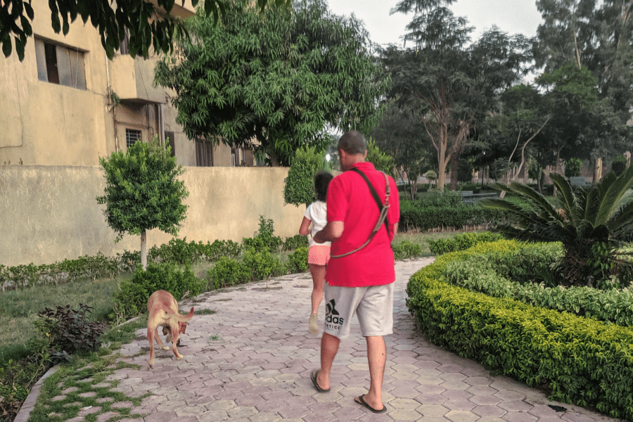 5 DogFriendly Places in Cairo Miro from Cairo