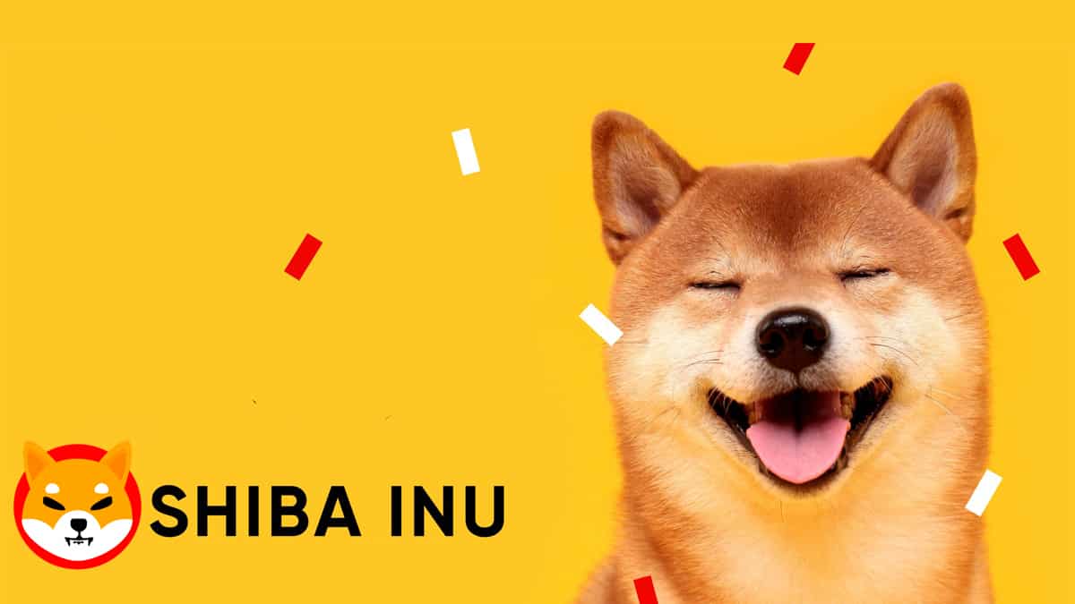 Will the price of SHIB reach 1 euro this year? insurance