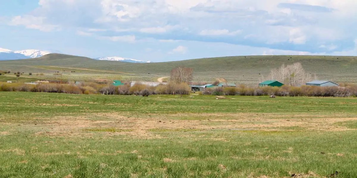 Adams Ranch Mirr Ranch Group