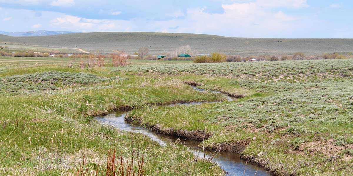 Adams Ranch Mirr Ranch Group