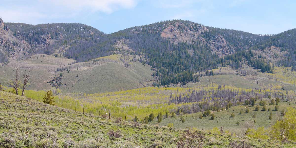 Adams Ranch Mirr Ranch Group