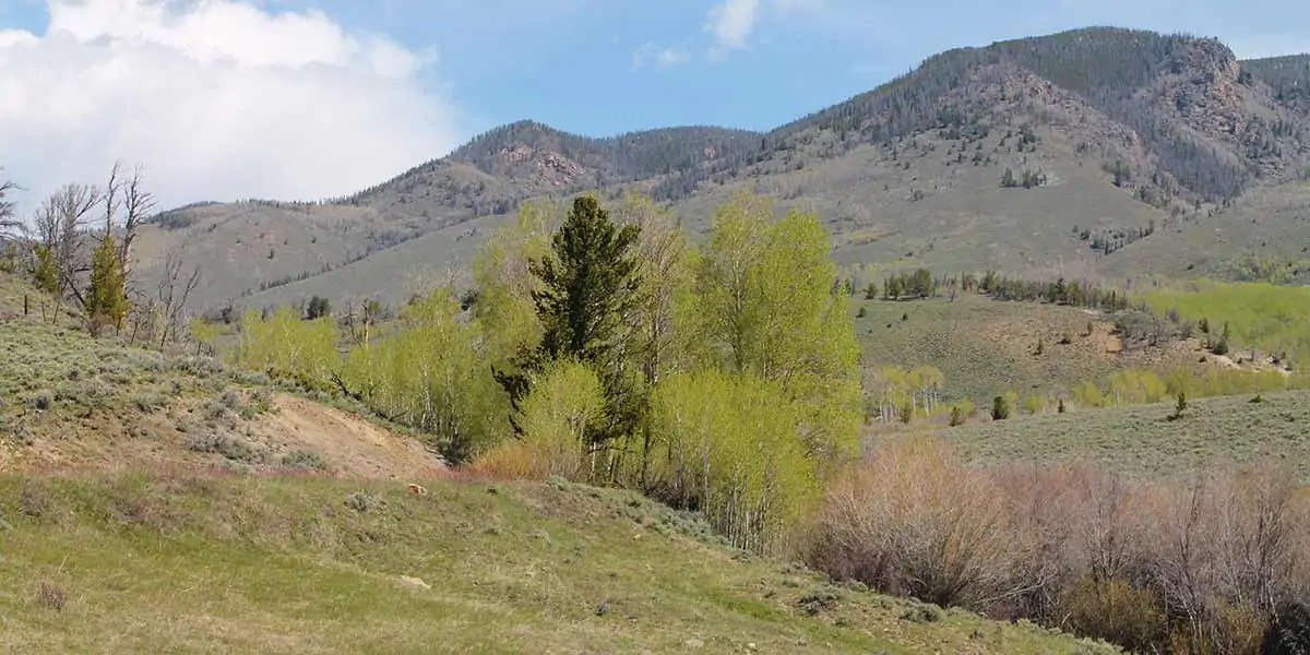 Adams Ranch Mirr Ranch Group