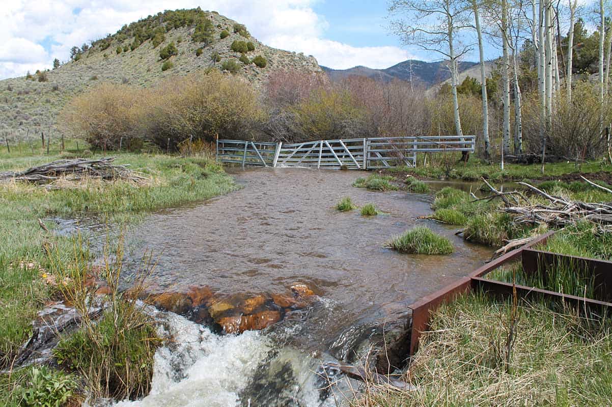 Adams Ranch Mirr Ranch Group