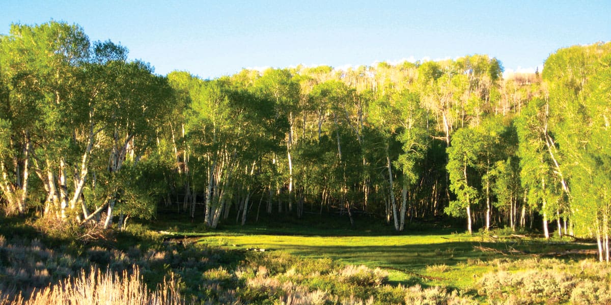 Fishlake Ranch • Mirr Ranch Group