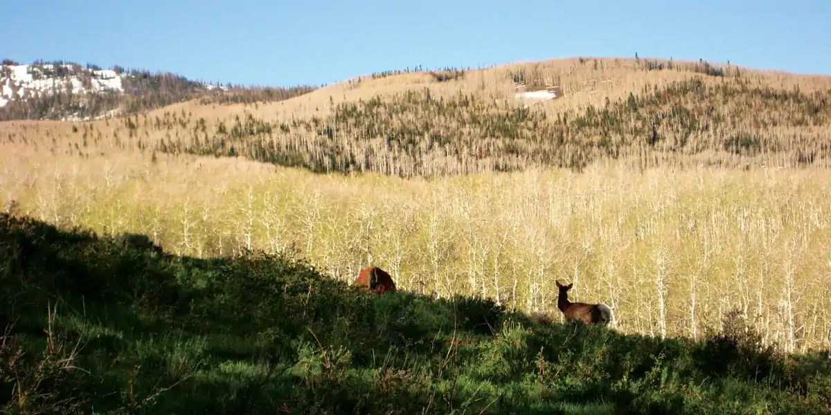 Fishlake Ranch • Mirr Ranch Group