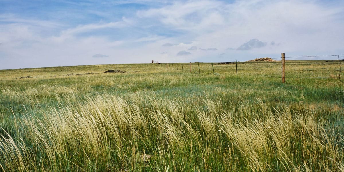 Wyoming Ranches New Listing Offers Summer Grazing