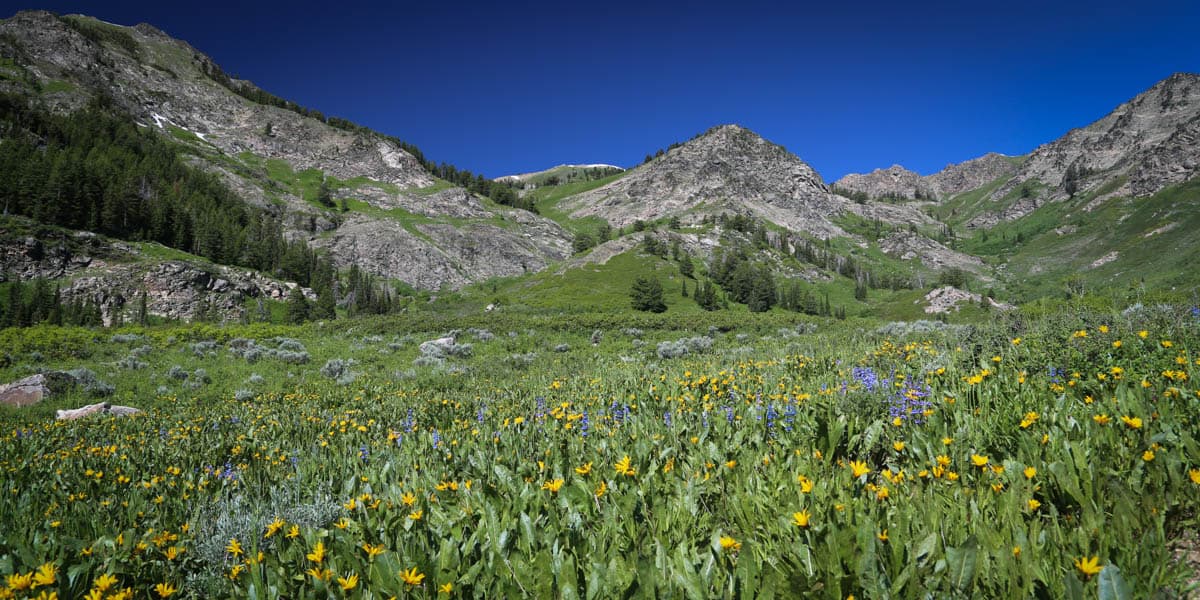 Wasatch Peaks Ranch Mirr Ranch Group
