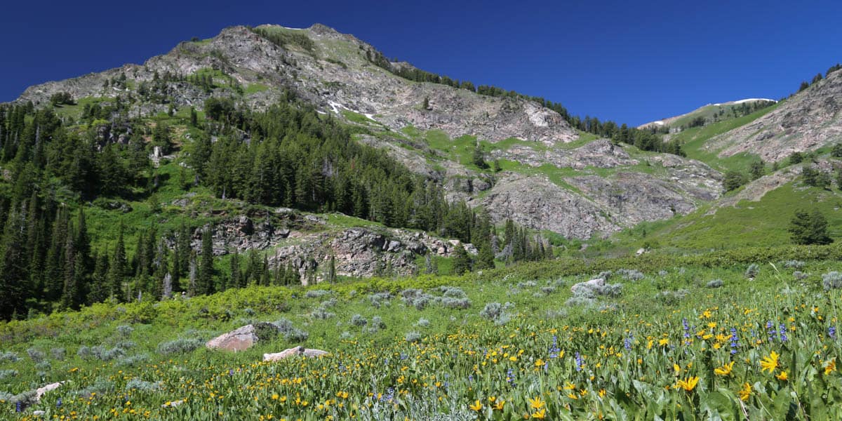 Wasatch Peaks Ranch Mirr Ranch Group