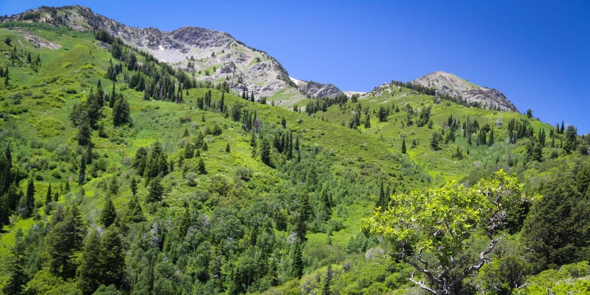 Wasatch Peaks Ranch Mirr Ranch Group