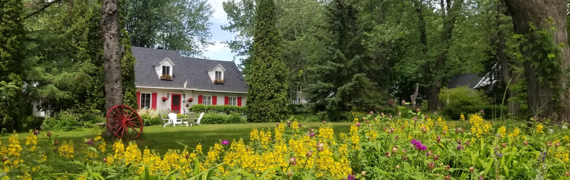 Île d'Orléans Rallye gourmand au pays des ancêtres et du bon vin ! Blogue À la dRoute