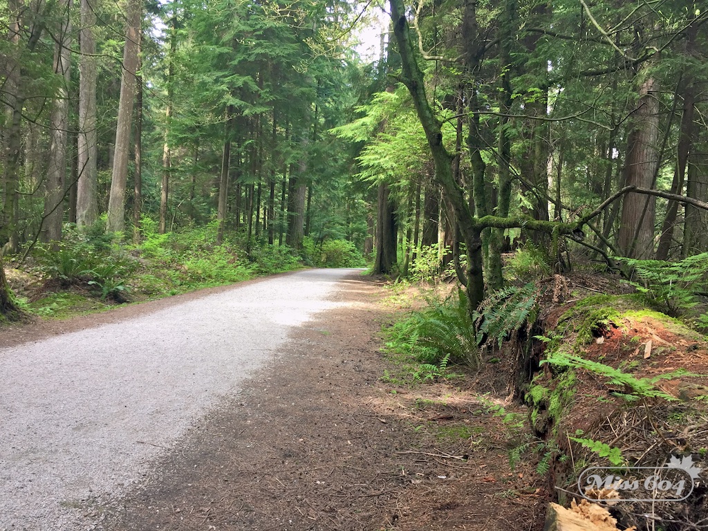 Guided Nature Walks Around Metro Vancouver » Vancouver