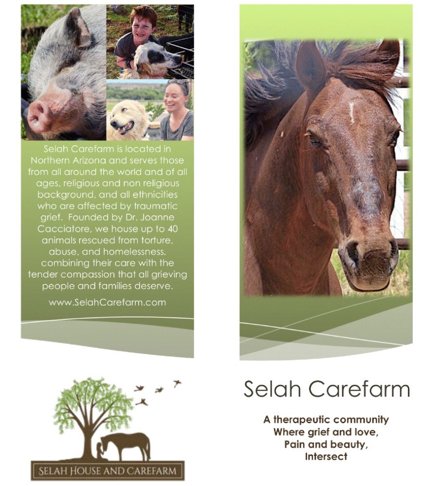 Visit Selah Carefarm Animal Grief Therapy for Bereaved Families