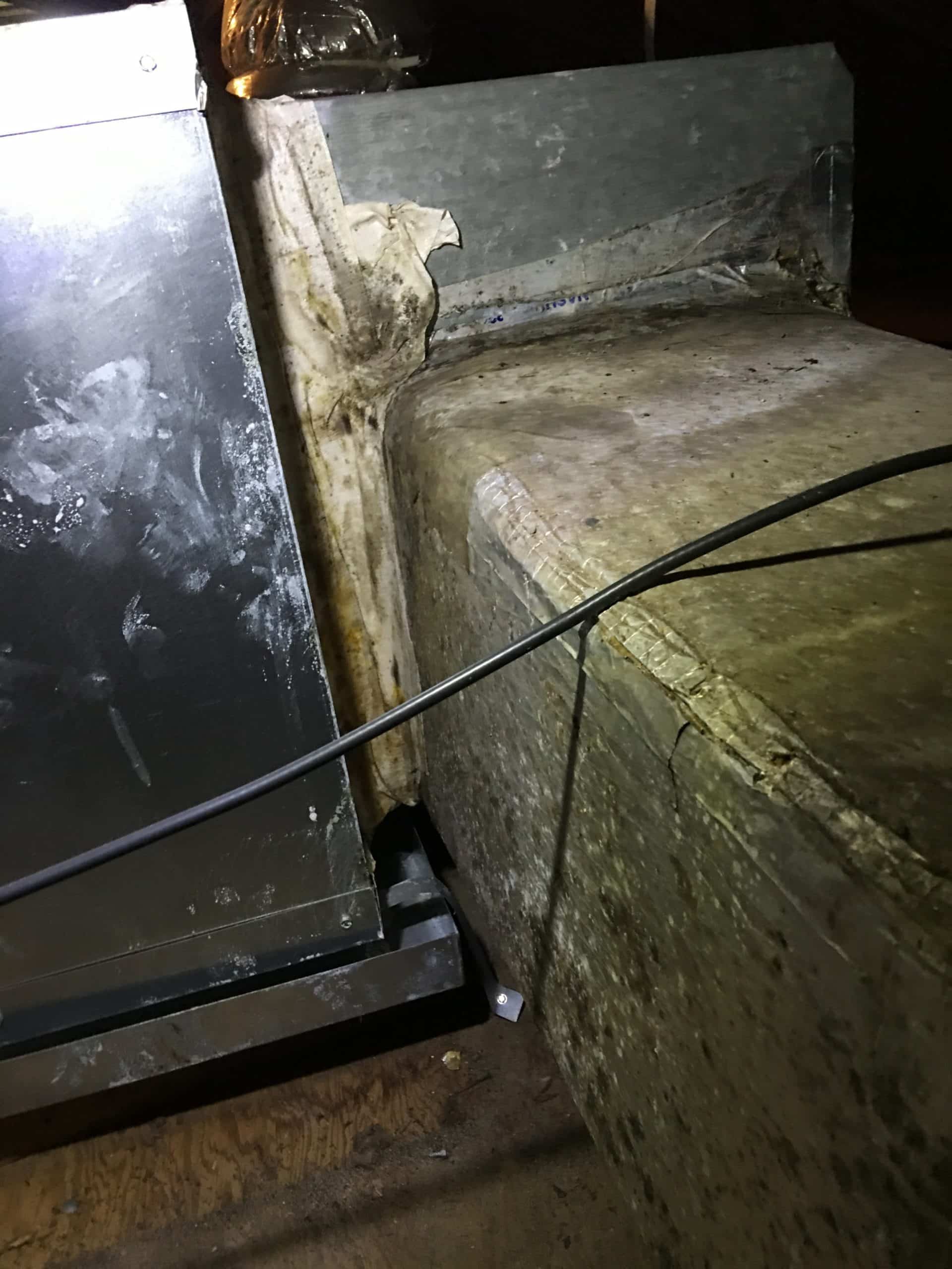Mold On Your Air Conditioner? Causes And Cures Mission Air