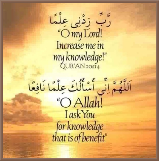 Islamic studies Wikipedia