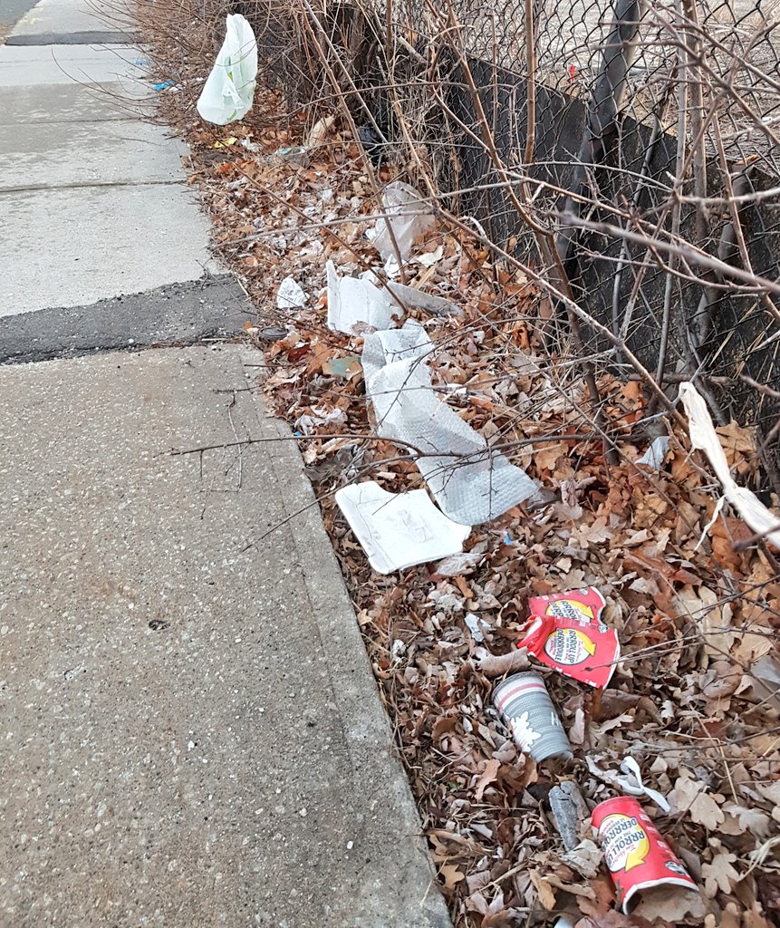Pick Up Your Trash! Keep Your Community Beautiful City of Mississauga