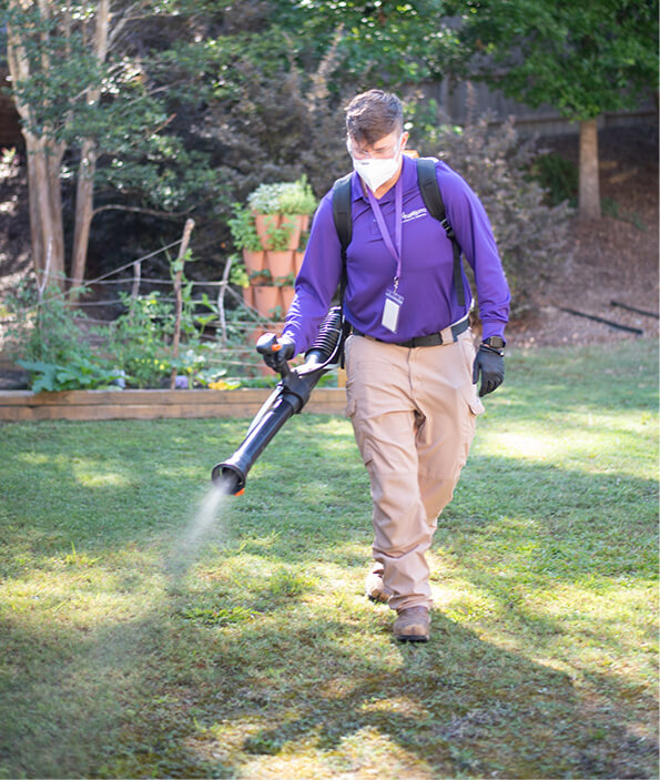 EcoFriendly Mosquito Control MissQuito