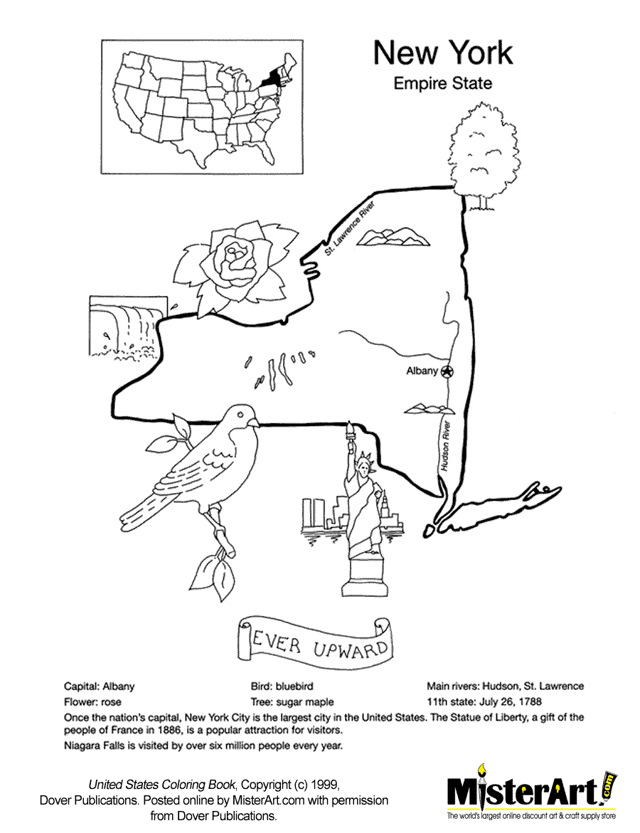 New York State Flower Coloring Page Best Flower Site