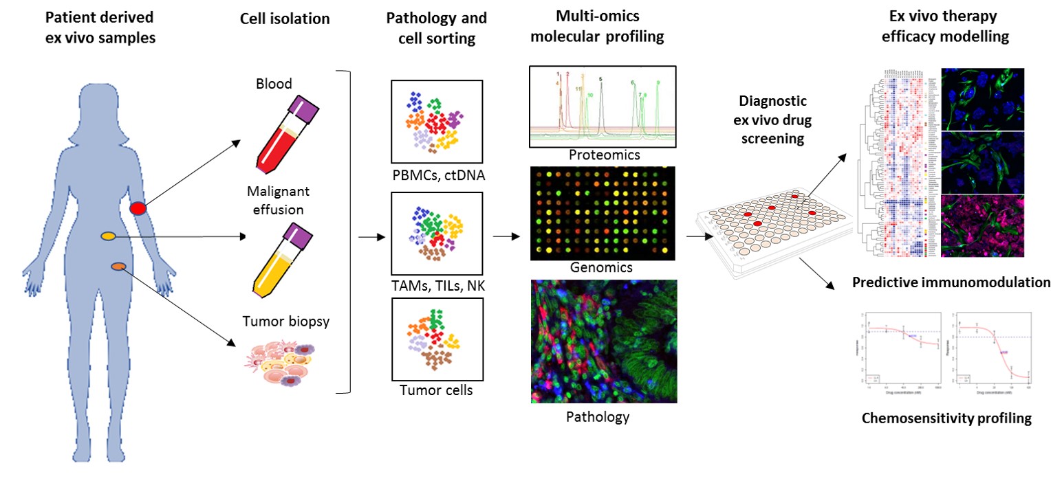 ex vivo therapy assessment Misvik Biology