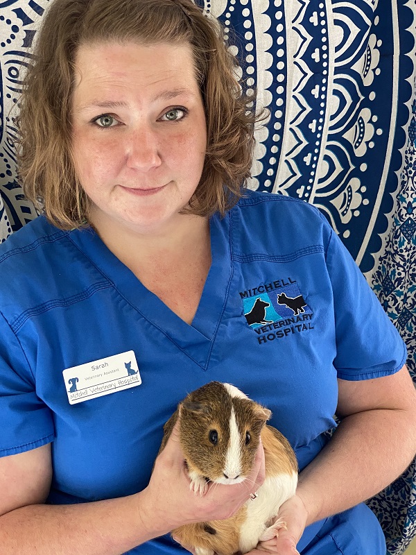 Our Team Mitchell Veterinary Hospital