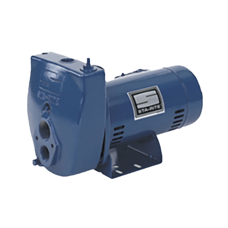 Convertible Jet Pumps Mitchell Lewis & Staver