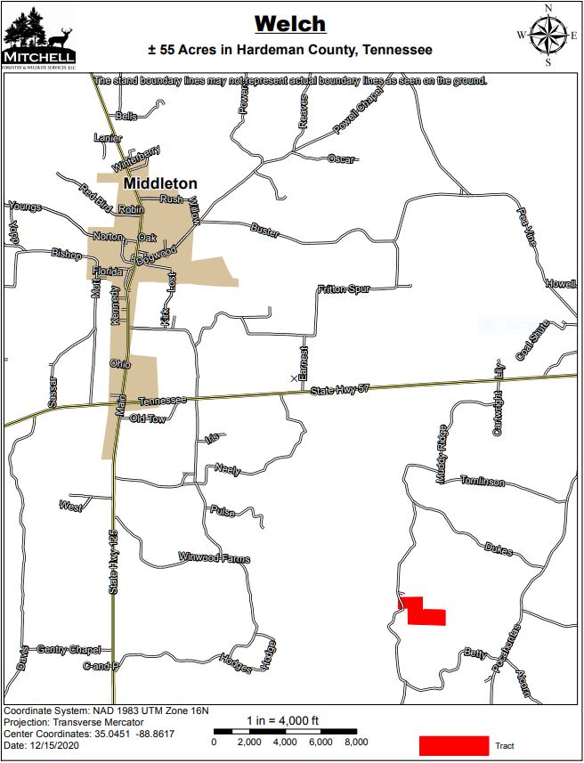 Welch Tract Mitchell Forestry