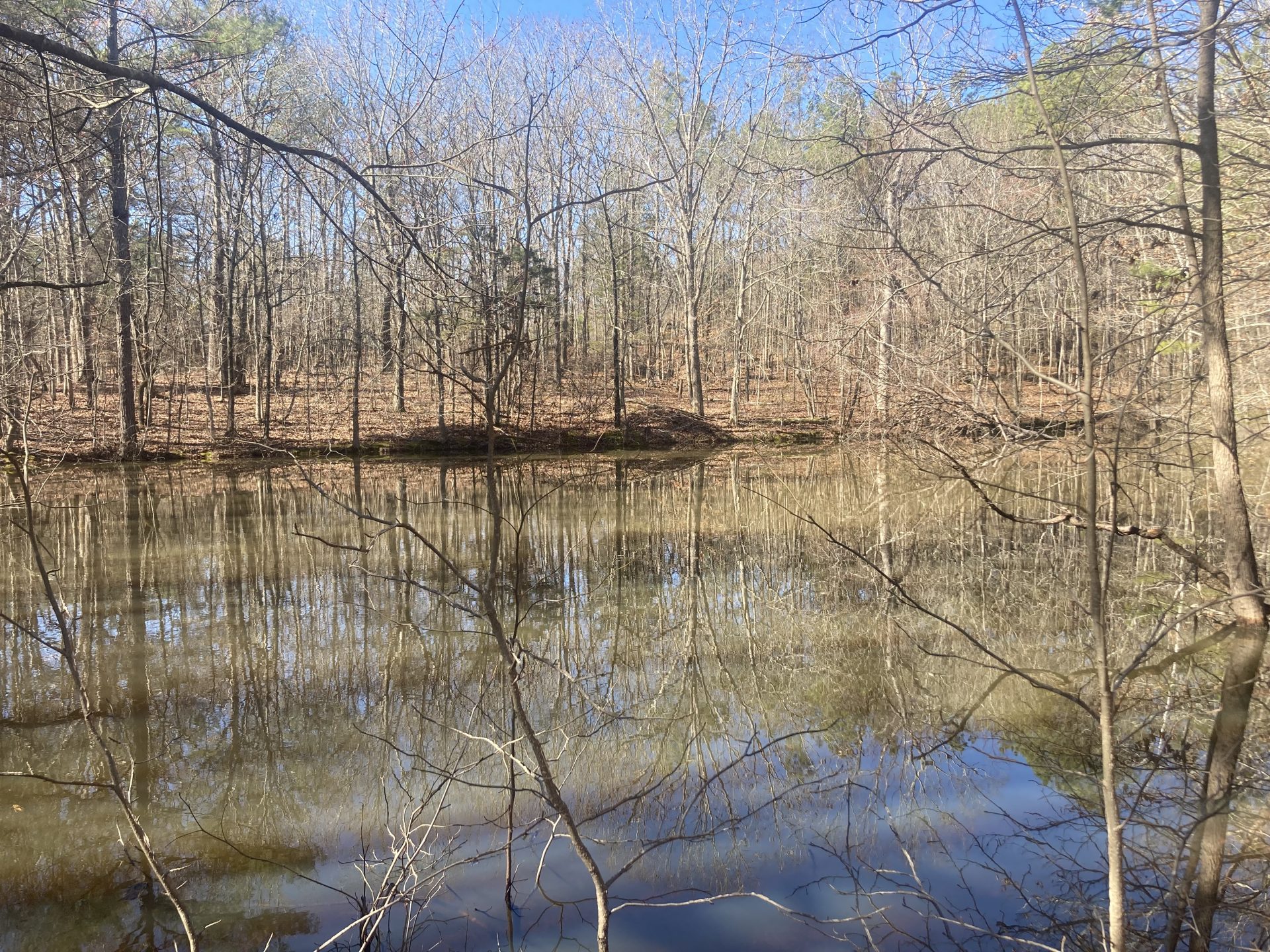 Mississippi Land For Sale Cox Property