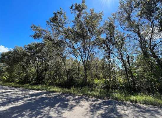 Mixon Real Estate Group, LLC Okeechobee Real Estate Agent Houses, Condos and Homes