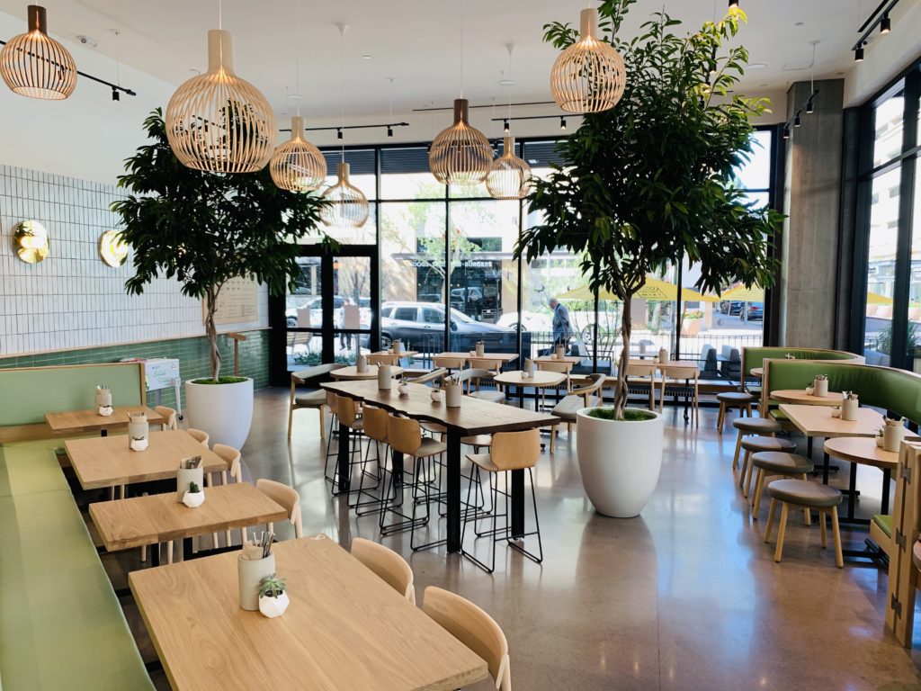 Sprouting Up in Scottsdale Salad Near Me MIXT