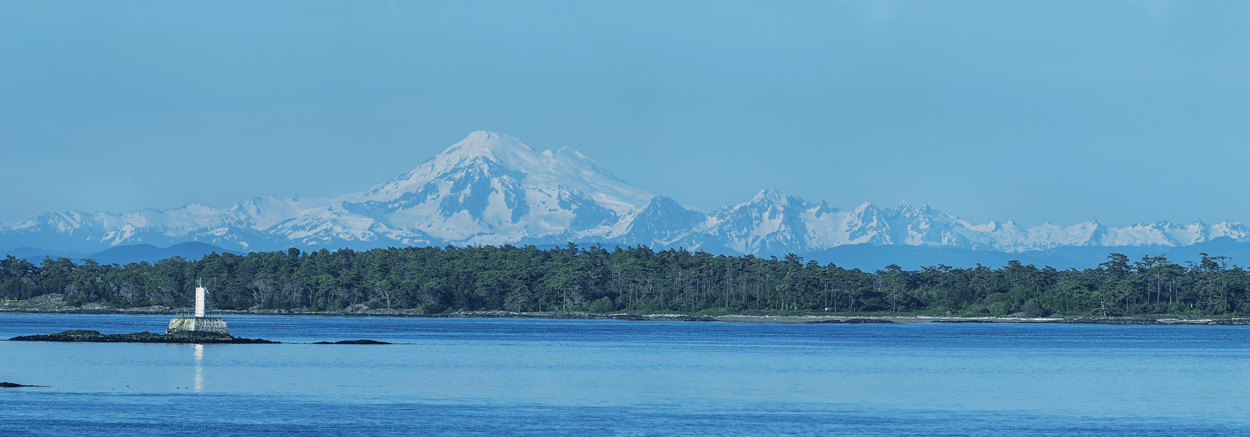 Oak Bay Homes For Sale Vancouver Island Real Estate MaryJo Braid