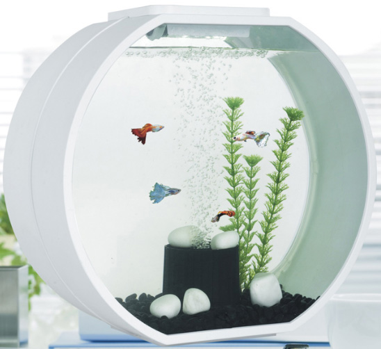 Deco O Mini Fish Tank MJ HUB PTE LTD