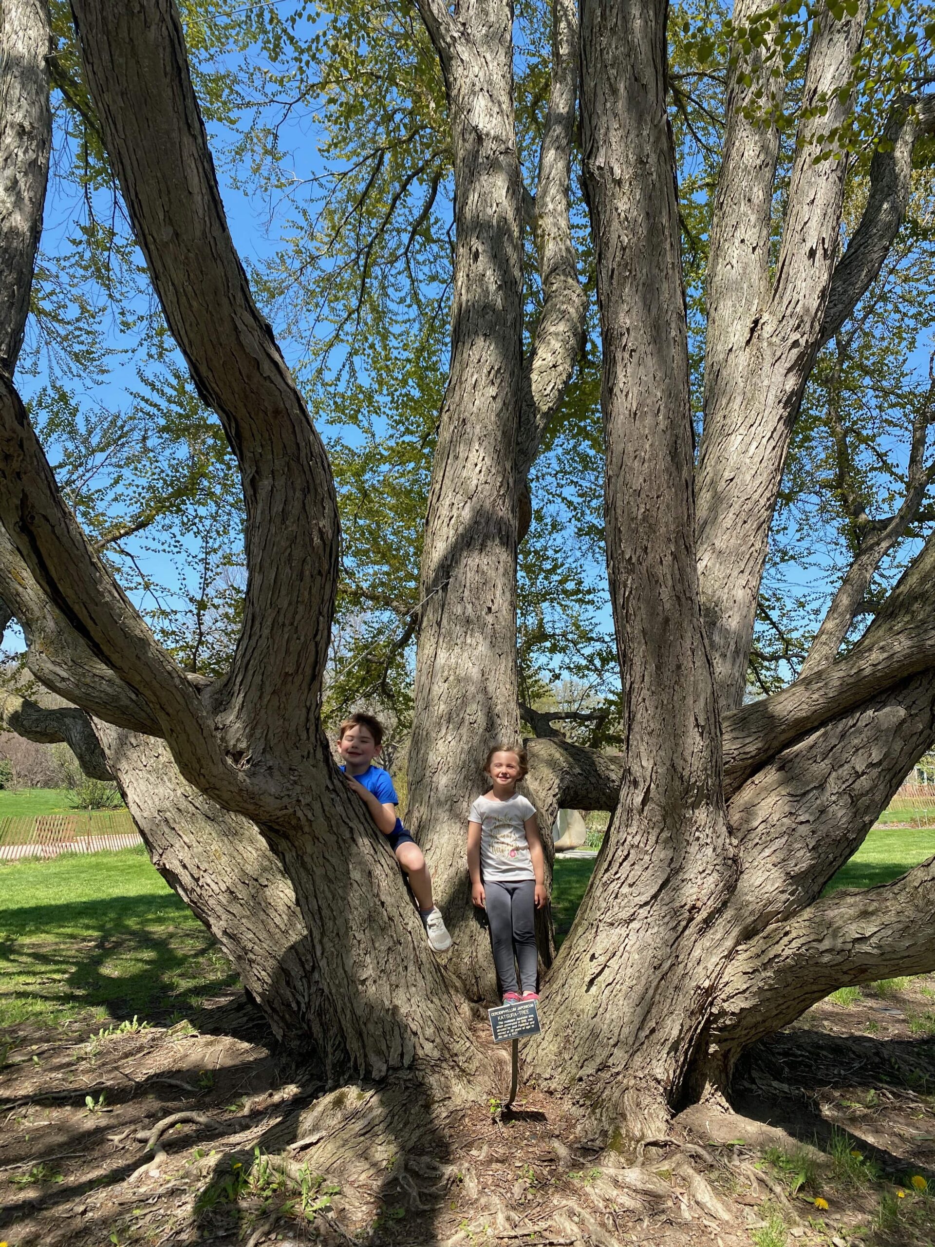 Boerner Botanical Gardens What to See and Do With Kids (2023