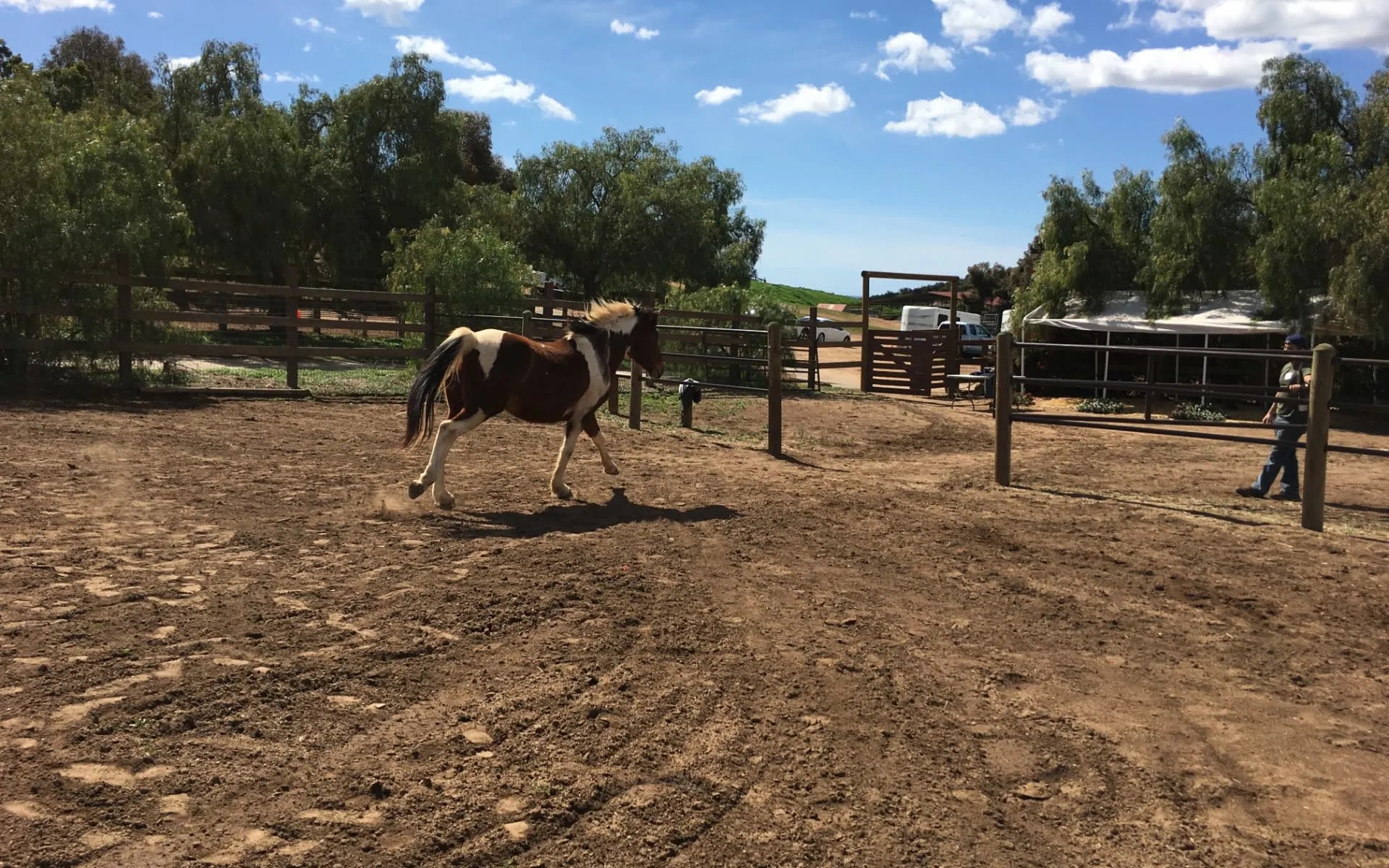 MLA Contractors » Bonsall